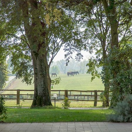 Tenuta Mariano Noceto Bagian luar foto