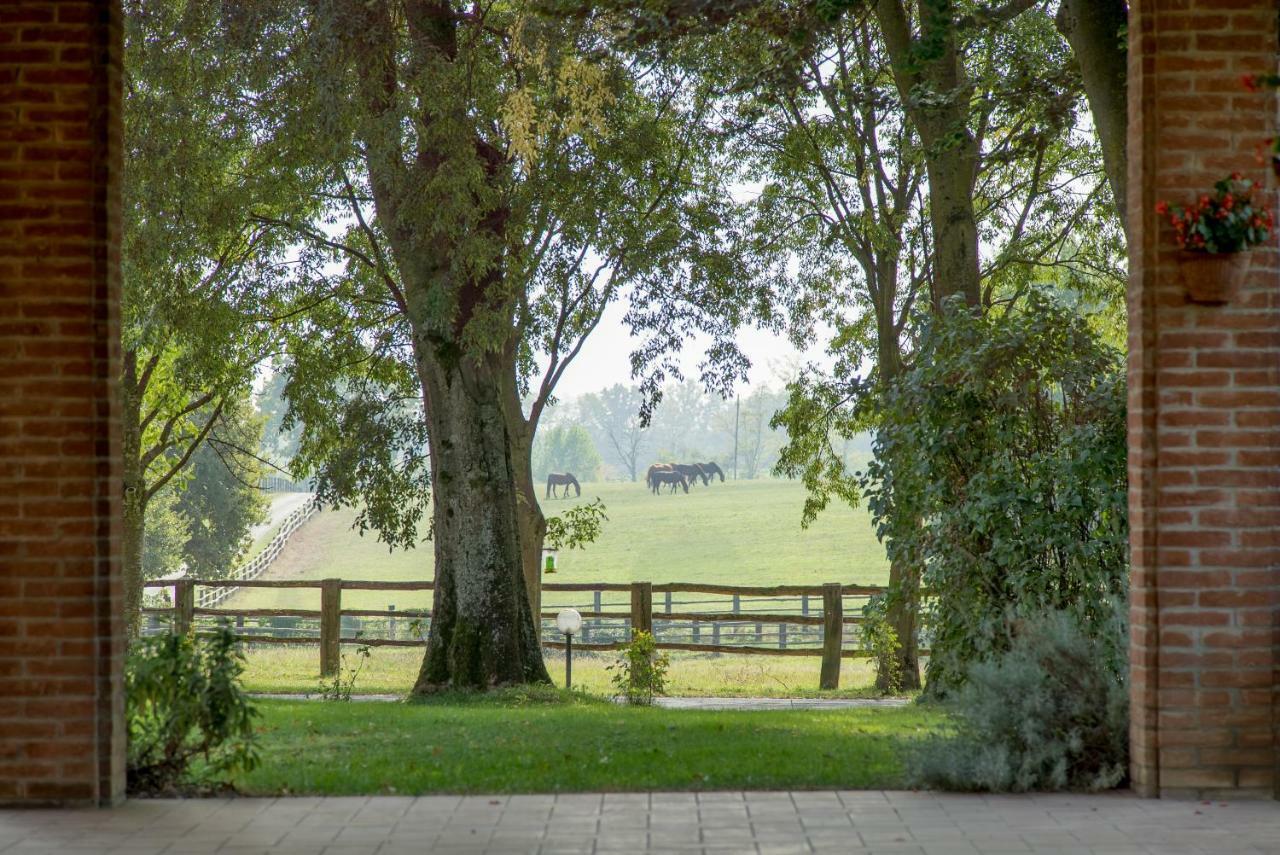 Tenuta Mariano Noceto Bagian luar foto